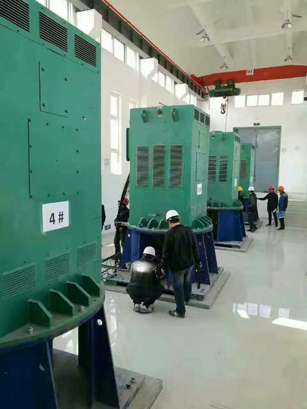 YR5001-10某污水处理厂使用我厂的立式高压电机安装现场