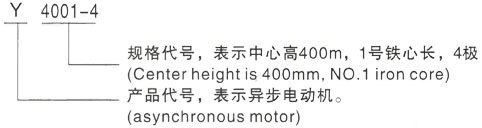 西安泰富西玛Y系列(H355-1000)高压YR5001-10三相异步电机型号说明