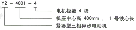 YR系列(H355-1000)高压YR5001-10三相异步电机西安西玛电机型号说明